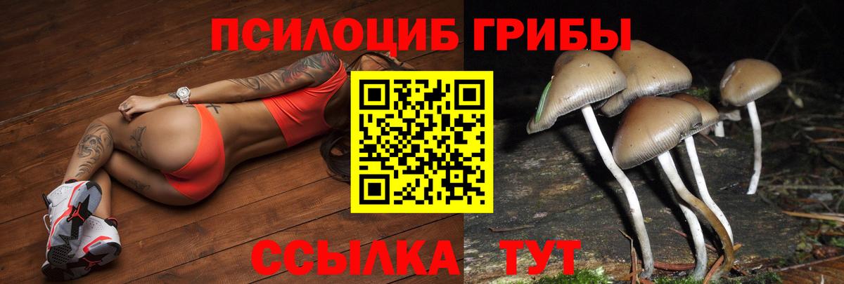 Псилоцибиновые грибы мицелий Кызыл