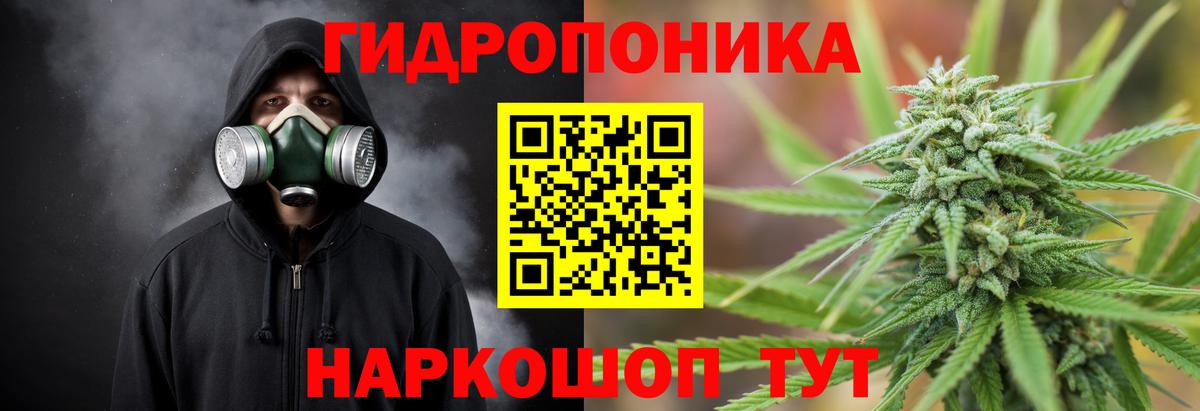 Конопля ГИДРОПОН Кызыл